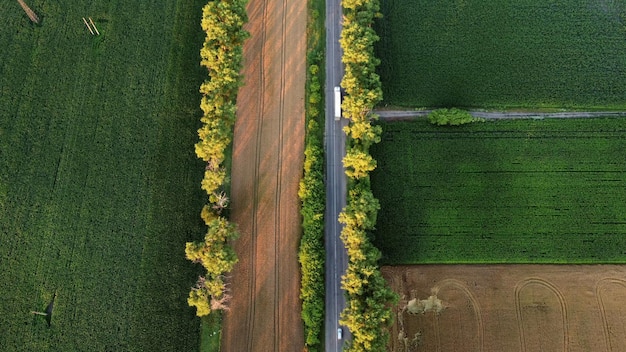 Drone survolant la route entre les champs agricoles verts pendant le coucher du soleil à l'aube