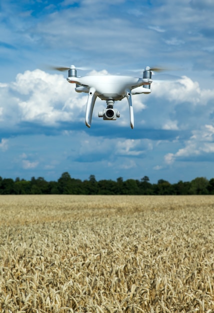 Drone volant au-dessus du champ de blé