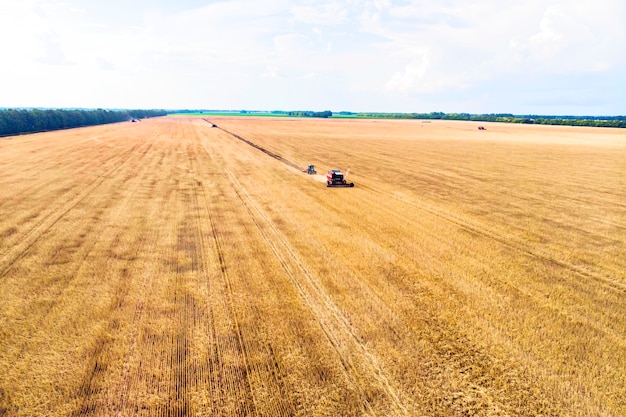 Drone de vue aérienne du champ de récolte avec tracteur tond l'herbe sèche. Champ jaune d'automne avec une botte de foin après la récolte vue de dessus. Récolte dans les champs. Faites le plein de foin pour l'hiver. Vue de dessus.