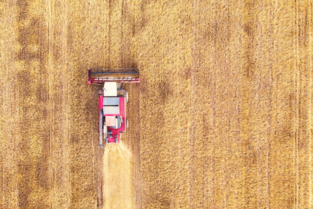 Drone de vue aérienne du champ de récolte avec tracteur tond l'herbe sèche. Champ jaune d'automne avec une botte de foin après la vue de dessus de la récolte. Récolte dans les champs. Faites le plein de foin pour l'hiver. Vue de dessus.