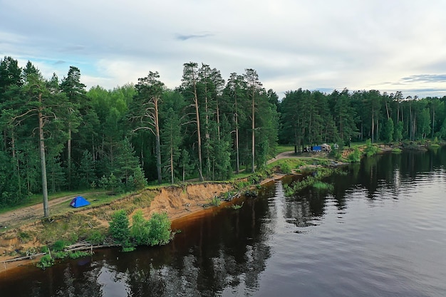 Drone de vue de dessus de forêt d'été, paysage panoramique d'arbres verts d'arrière-plan