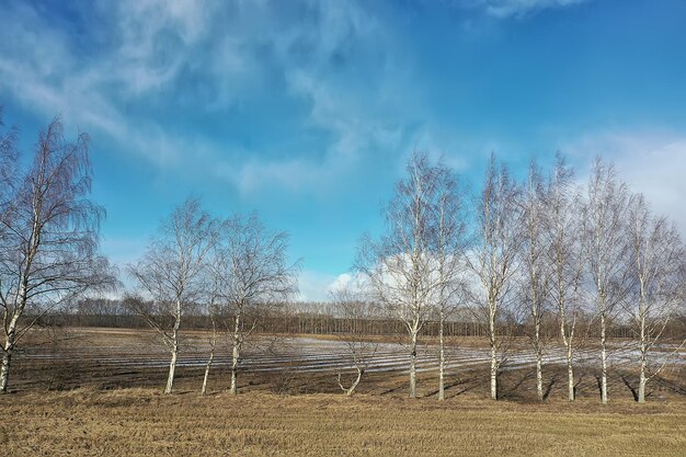 drone vue de dessus sur le terrain au début du printemps, vol de paysage abstrait