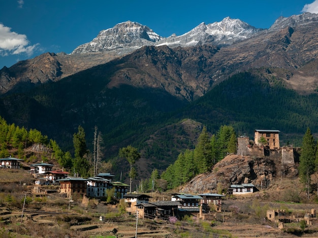 Drukgyel Dzong Royaume du Bhoutan