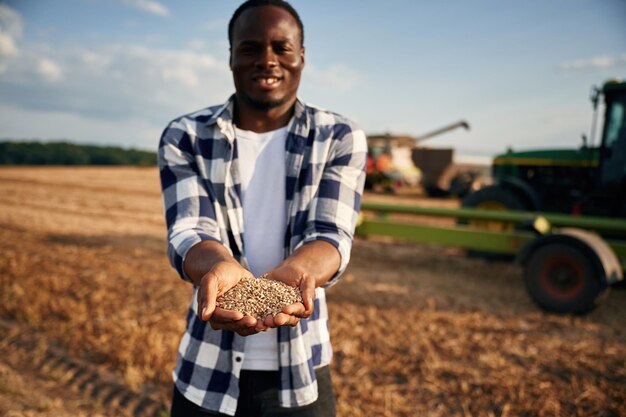 Photo avec du blé dans les mains, un beau afro-américain est dans le champ agricole.