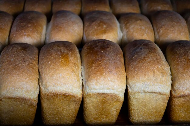 Du pain chaud fraîchement cuit est placé dans des plateaux dans la boulangerie