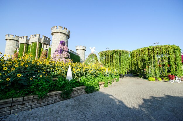 DUBAI UAE 28 MARS Dubai Miracle Garden aux Émirats arabes unis le 16 février 2022 Il compte plus de 45 millions de fleurs