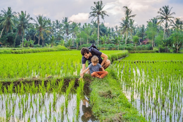 Éducation des enfants sur la nature papa et fils sont assis dans une rizière et regardent la nature