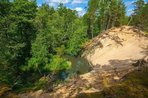 Dune blanche dans la forêt