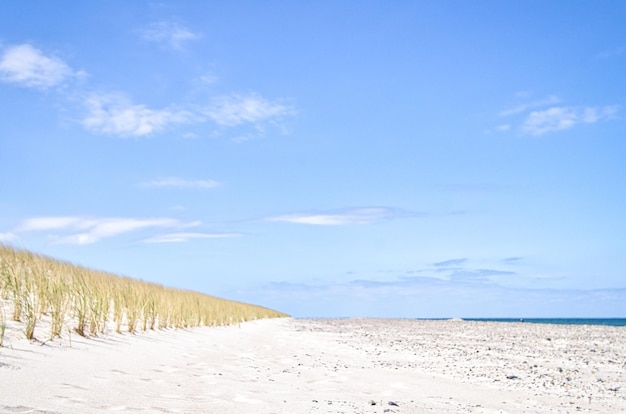 Dune sur la plage de la mer Baltique avec de l'herbe des dunes Plage de sable blanc sur la côte