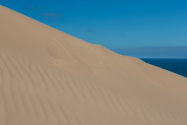 Photo dune de sable et ciel bleu