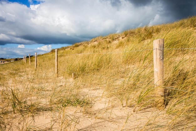 Dune de sable et clôture sur une plage de l'île de Ré France fond nuageux