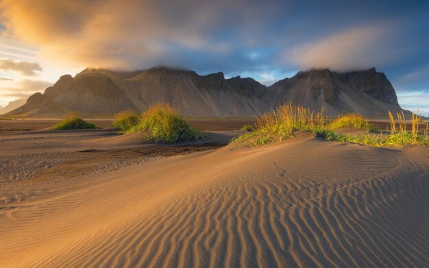 une dune de sable avec un coucher de soleil en arrière-plan