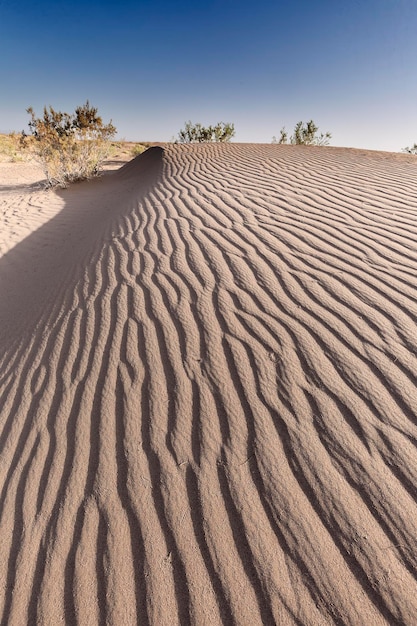Photo une dune de sable dans le désert contre un ciel clair