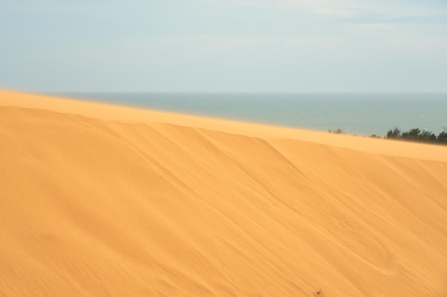 Photo dune de sable dans le désert avec la mer au fond