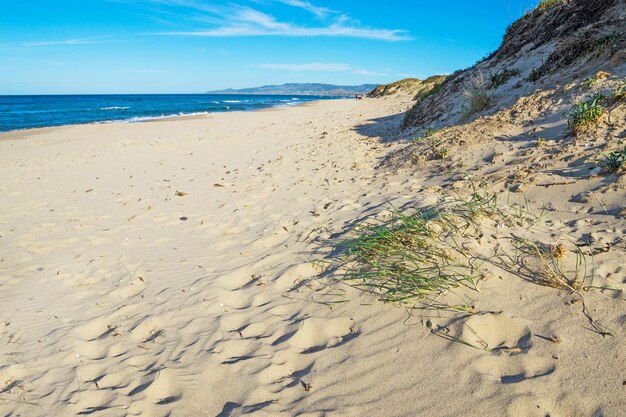 Dune de sable sur la plage de Platamona