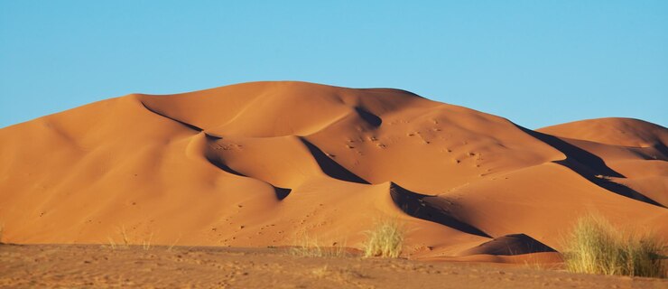 Dune