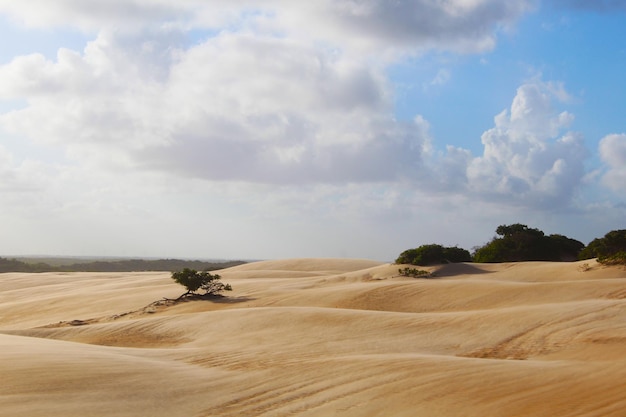 Dunes brésiliennes