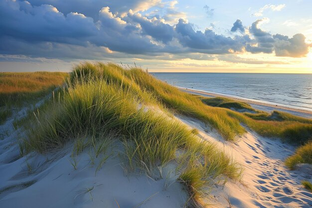 Les dunes brillent dans la lumière du soir.