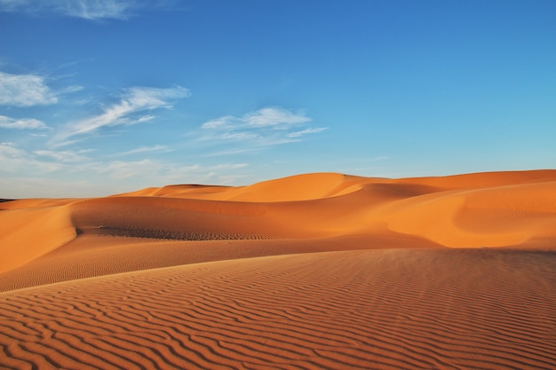 Photo dunes dans le désert du sahara au cœur de l'afrique