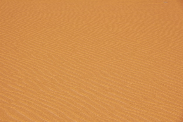 Photo dunes dans le désert du sahara au cœur de l'afrique