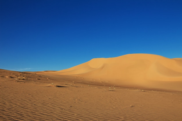 Dunes dans le désert du Sahara au cœur de l'Afrique