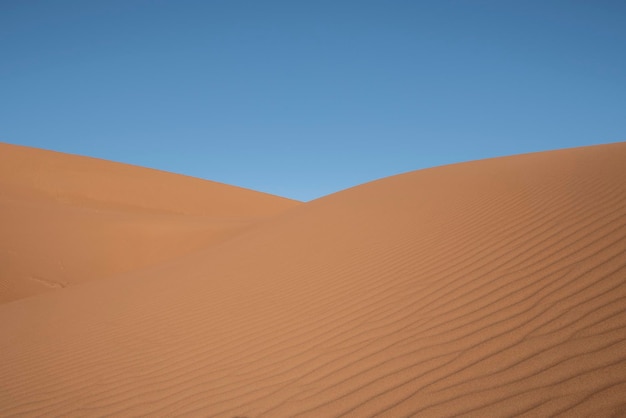 Dunes dans le désert sous la lumière du soleil et un ciel bleu dans le Sahara, le Maroc, l'Afrique