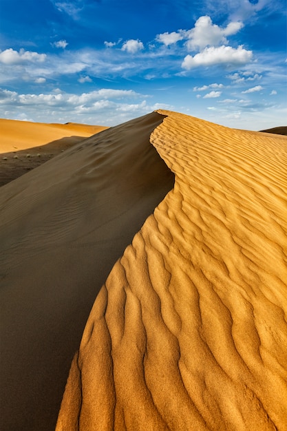 Dunes du désert du Thar