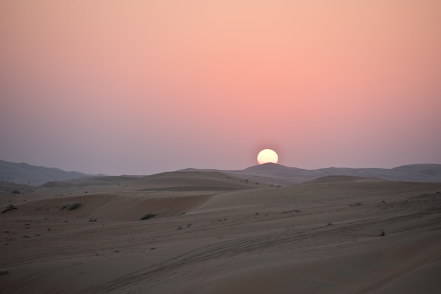 Dunes Du Désert à Liwa, émirats Arabes Unis