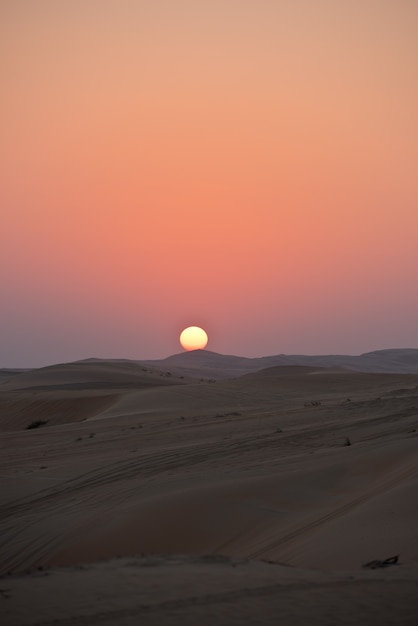 Dunes du désert à Liwa, Émirats arabes unis