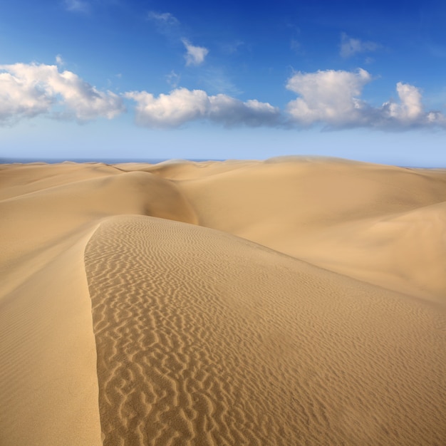 Dunes du désert à Maspalomas Gran Canaria