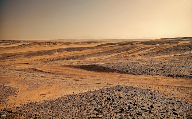 Dunes du désert de sable brun