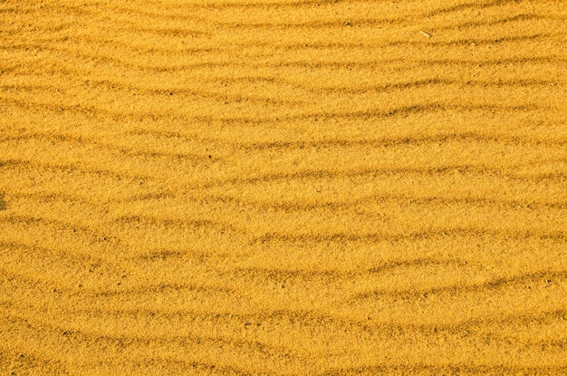Dunes du désert de sable jauneSécheresseclimat arideSurface martienneGros plan
