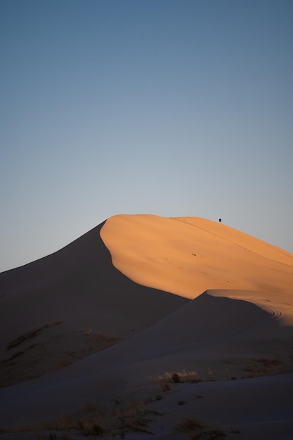 dunes du désert