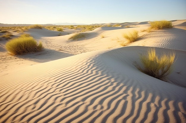 dunes du désert