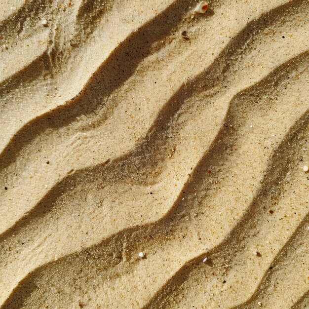 Des dunes éthériques Un voyage à travers les sables ondulés