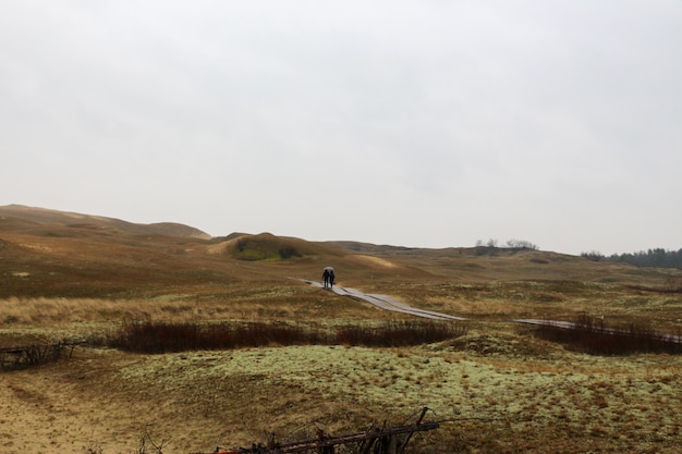 Dunes d'hiver de la côte de la mer Baltique