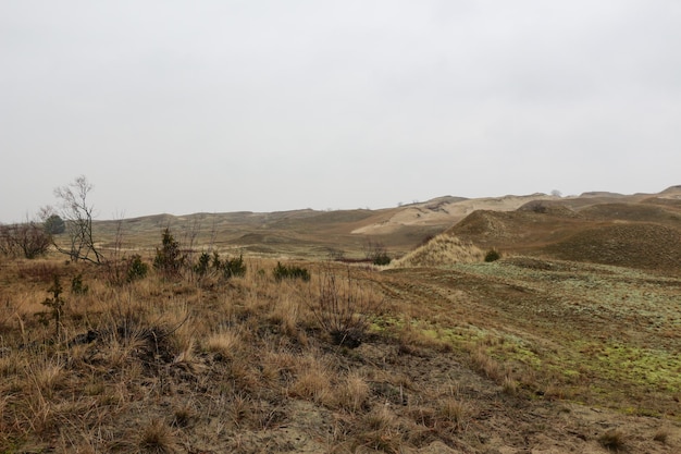 Dunes d'hiver du littoral de la mer Baltique