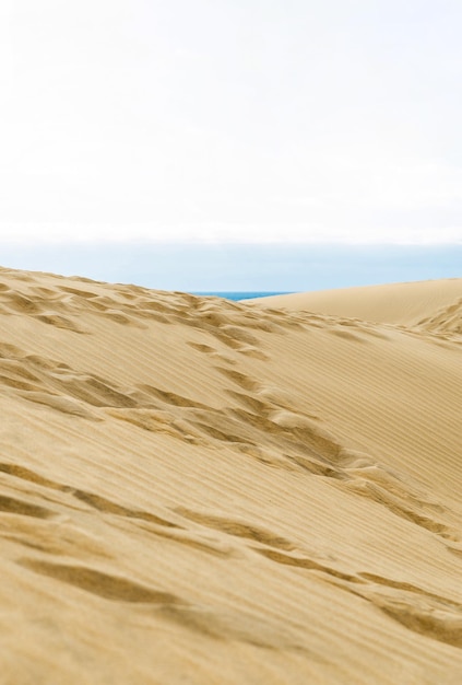 Dunes de Maspalomas Îles Canaries Espagne Sable jaune et doré du désert du Sahara