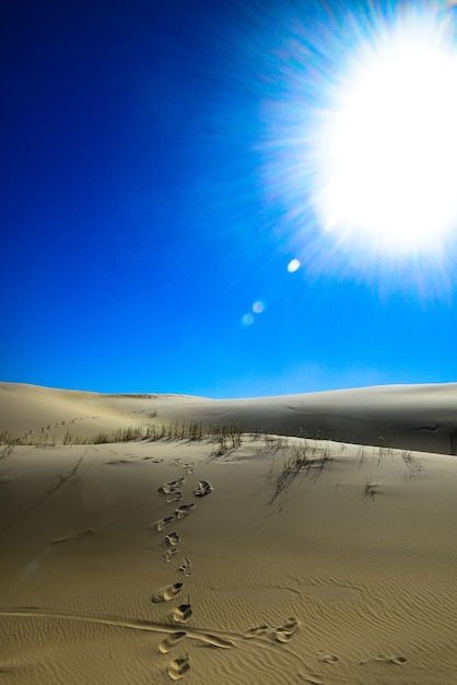 Photo les dunes de la plage de joaquina à florianopolis offrent l'une des plus belles vues de l'île