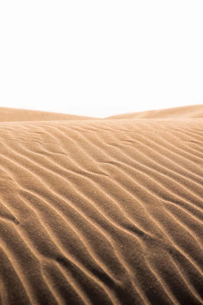 Dunes de sable chaud orange en été dans le delta du fleuve