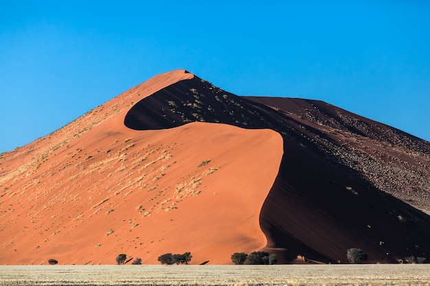 Dunes de sable et ciel bleu