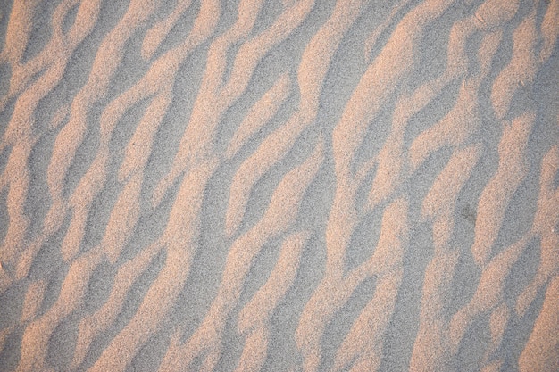 Dunes de sable créées par le vent