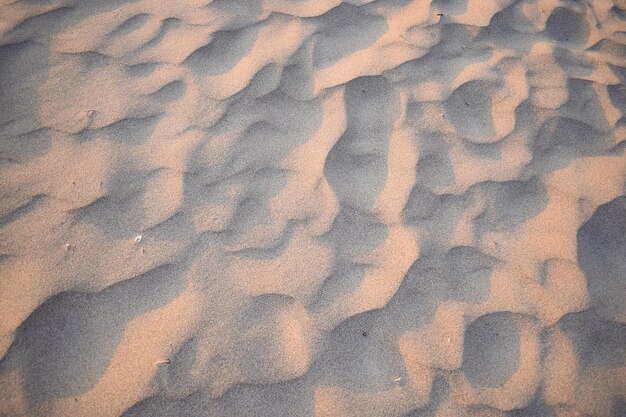 Dunes de sable créées par le vent