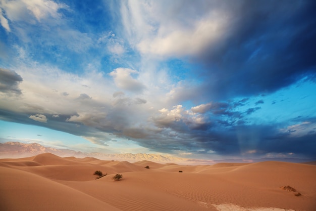 Dunes de sable dans Death Valley National Park, Californie, USA. Corail vivant tonique.