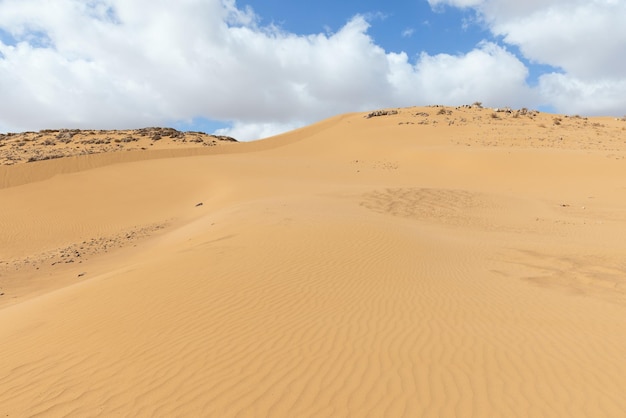 Dunes De Sable Dans Le Désert D'arava Israël