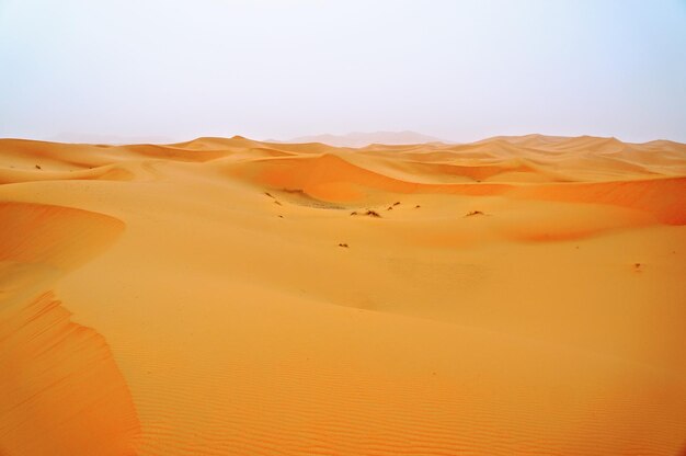 Photo des dunes de sable dans le désert contre un ciel clair