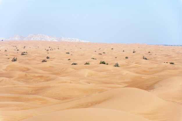 Des dunes de sable dans le désert contre un ciel clair