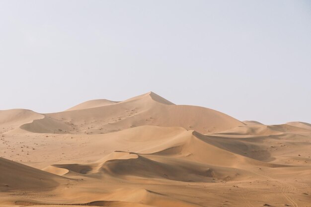 Des dunes de sable dans le désert contre un ciel dégagé