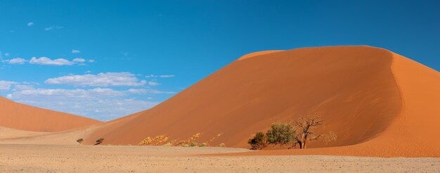 Photo des dunes de sable dans le désert contre le ciel