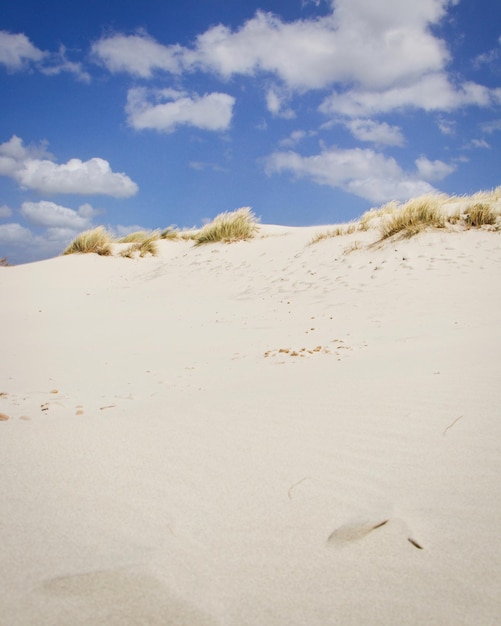 Photo des dunes de sable dans le désert contre le ciel